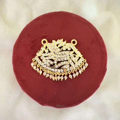 Tribal Spirit Dollar – 101 Stone Edition